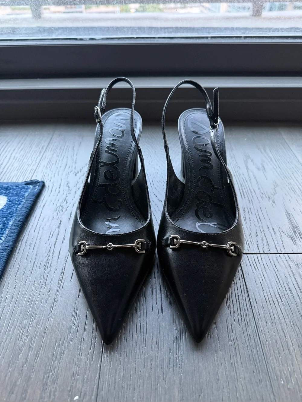 Sam Edelman Waller Pointed Toe Slingback Pumps